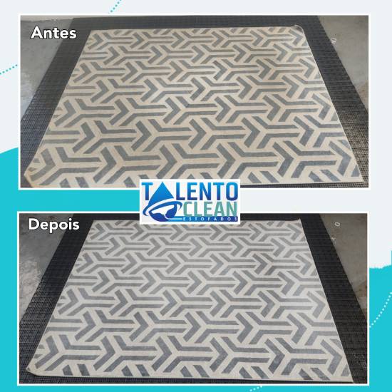 Talento Clean Higienização de Tapetes e Carpetes 3